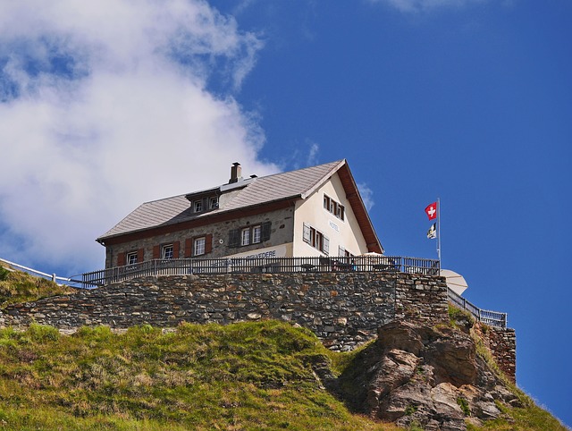向新高峰 向新高峰